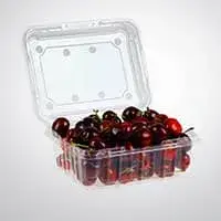 عبوات بلاستيك ذات غطاء متصل