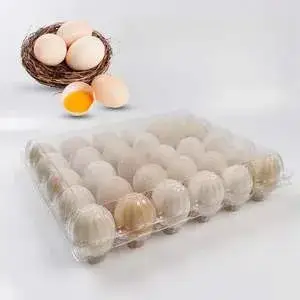 قوالب التشكيل الحراري