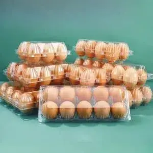 ماكينات تشكيل حراري للبلاستيك متعددة المحطات