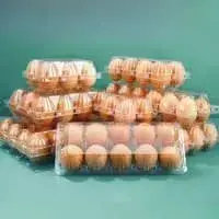 ماكينات تشكيل حراري للبلاستيك متعددة المحطات